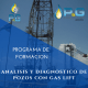 Analisis y Diagnostico en Pozos Con Gas Lift