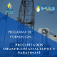 Precipitados Organicos