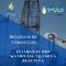 Estimulacion Matricial